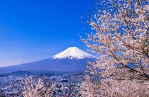 Mount Fuji and Oshino Hakkai Tour with Optional Hot Springs or Outlet