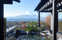 Mount Fuji and Oshino Hakkai Tour with Optional Hot Springs or Outlet