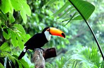 Chimelong Bird Park Entrance Tickets