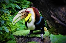 Chimelong Bird Park Entrance Tickets