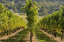 Self-Guided Gastronomic Journey Through the Veluwe