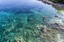 Lefkada Full-Day Island Hopping Kayak Tour