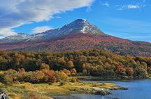 National Park Tierra del Fuego