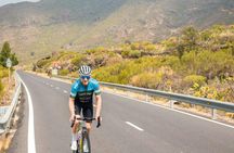 Los Gigantes Bike Tour