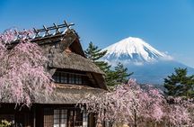 Mount Fuji, Asama Park, West Lake Rinko Field Day Tour
