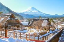 Mount Fuji, Asama Park, West Lake Rinko Field Day Tour