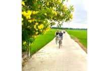 Da Nang rural villages bicycle tour with cooking session