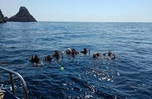 Scuba Diving Experience in the Gulf of Catania from Aci Castello