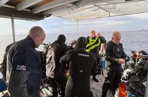 Scuba Diving Experience in the Gulf of Catania from Aci Castello