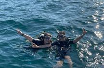 Scuba Diving Experience in the Gulf of Catania from Aci Castello