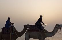 Camel Ride Experience with Evening Barbecue in Agadir