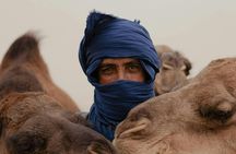 Camel Ride Experience in Essaouira's Coastal Region