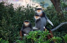 Trip to the Marble Mountains, Am Phu Cave and Monkey Mountain