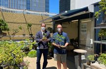 Bonsai Creation Experience for Novices in Tokyo