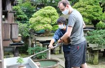 Bonsai Creation Experience for Novices in Tokyo