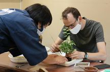 Bonsai Creation Experience for Novices in Tokyo