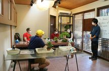 Authentic Japanese Bonsai Experience in Tokyo