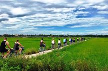 Half-day cycling tour through Hoi An's countryside
