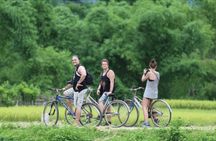 Half-day cycling tour through Hoi An's countryside