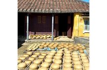 Half-day craftsmanship tour in Hoi An's traditional villages