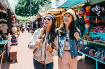 Half-Day Los Angeles Highlights Guided Tour