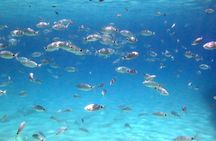 Afternoon Half-Day Cruise from Paphos to Blue Lagoon