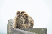 Tangier and Gibraltar Guided Tour from Seville 2 Days