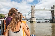 Thames River Cruise and Westminster 3-Hour Private Tour