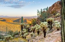 Audio-guided driving tour to Saguaro National Park