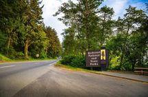 Audio-guided driving tour to Redwood National & State Parks