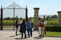 Full-Day Wine Tour in Saint-Emilion and Margaux
