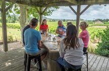 St. Emilion day-tour with village visit, wine tour and lunch