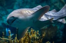 Aquarium of the Pacific Tickets