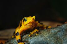 Aquarium of the Pacific Tickets