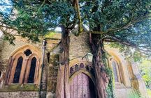 Full-day tour of the Cotswolds with Traditional Lunch Option