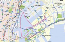 Private Cruising Experience in Tokyo Bay