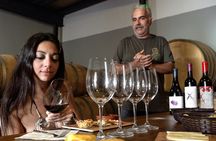 Half-day winery tour with wine tasting and tapas