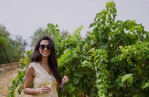 Half-day winery tour with wine tasting and tapas