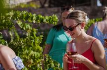 Half-day winery tour with wine tasting and tapas