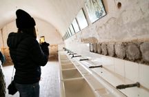 Terezin Monument guided tour from Prague