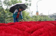Quang Phu Cau Incense Village and Handicraft Village Day Tour
