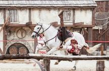 Puy du Fou España and Sueño de Toledo with transfer from Madrid