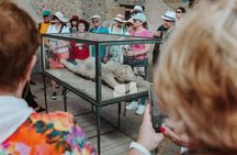 Amphitheatre of Pompeii Tour with an Archaeologist