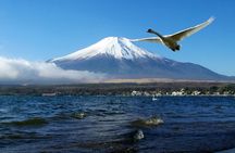 Mt. Fuji Twin Lakes Scenic, Kawaguchiko, Yamanaka, and Onsen 1-Day Tour