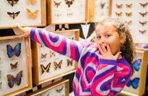 Visit 15 Modern Attractions at Kraków House Of Attractions