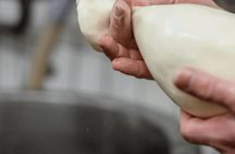 Mozzarella Making and Tasting Experience in Agerola