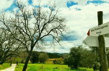 Hike from Siena to Monteriggioni with Wine Tasting