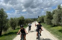 Scenic E-Bike Tour in Chianti Wine Region with Lunch