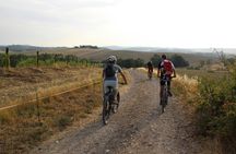Scenic E-Bike Tour in Chianti Wine Region with Lunch