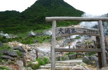 Mt.Fuji,Owakudani, Hakone Cruise & Ropeway, Oshino Hakkai 1-Day Trip